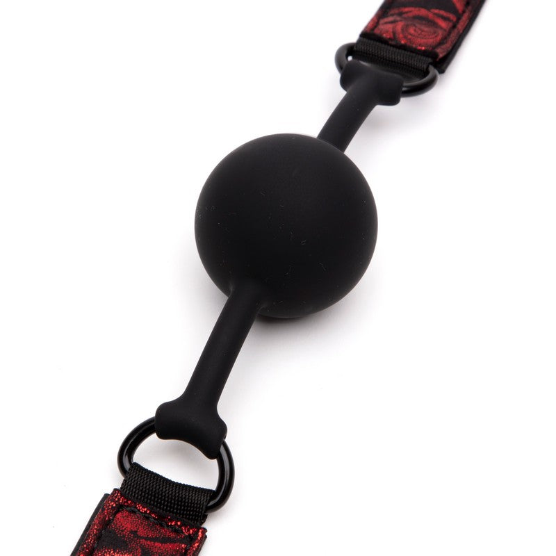 Sweet Anticipation Ball Gag