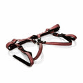Her Royal Harness The Regal Duchess Red